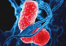 Pneumokok je na vzestupu. Nejvíce ohrožuje seniory a malé děti