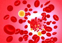 Půl milionu lidí trpí v ČR postižením tepen srdečního svalu