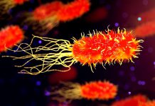 Rakovina tlustého střeva ročně usmrtí 3 500 lidí