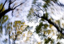 Roztroušená skleróza je v Česku problém roztroušená skleróza