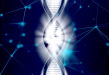 Huntingtonova choroba značí genetické onemocnění Huntingtonova choroba B