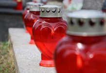 Nejvíce Čechů umírá na onemocnění srdce a rakovinu umírá na onemocnění