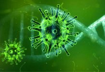 Nová statistika: Covid-19 stihl již více než 60 tisíc lidí Covid-19