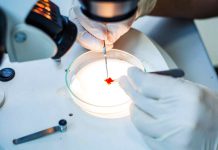 Instalační grant EMBO získal Peter Dráber z 1. LF UK Instalační grant EMBO