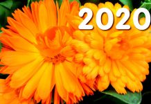 Liga proti rakovině letos cílí na nádory ledvin a měchýřů nádory ledvin