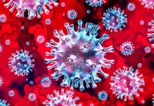 Jak se bránit proti koronaviru a nemoci Covid-19 proti koronaviru d