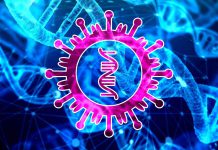 Koronavir Covid-19 se blíží ČR: Itálie hlásí 34 obětí Koronavir Covid-19