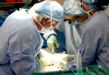 Kdo a jak může v Česku darovat orgány darovat_organy