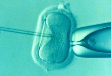 Neplodnost mužů způsobuje mnoho důvodů neplodnost