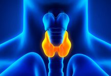 Poruchy funkce štítné žlázy postihují více ženy než muže poruchy funkce štítné žlázy