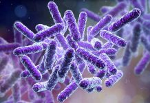 Co je Česká mikrobiomová společnost ČLS JEP Ceska_mikrobiomova_spolecnost