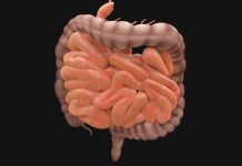 Fekální bakterioterapie přináší fantastické výsledky Fekalni_bakterioterapie