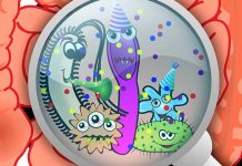 Zdravý střevní mikrobiom je základ zdraví strevni_mikrobiom