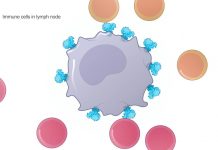 Vakcína společnosti Moderna probrala finanční trhy