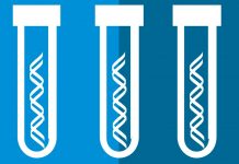 Základem léčby rakoviny vaječníků je genové vyšetření rakoviny_vajecniku