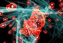 Léky na osteoporózu mohou zabránit cytokinové bouři cytokinove_bouri