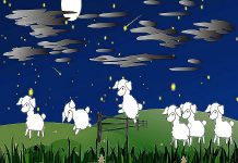 Amelie zkoumá nespavost u onkologických pacientů nespavost_a