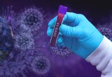 Na výzkumné projekty covidu-19 míří 100 mil. korun projekty