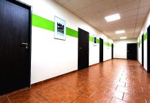 Mzdy jsou směšné, říká sociální pracovnice socialni_pracovnice