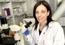 Česko-finský tým uspěl u testů nového biomateriálu biomaterialu_Stefania_Pagliariz