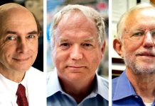 Nobelovu cenu získali vědci za léčbu hepatitidy typu C Nobelovu_cenu