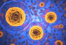 Čeští výzkumníci se zapojili do hledání léčby covidu-19 lecby