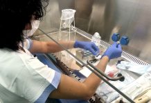 FN Ostrava akreditovala svá čtyři laboratorní pracoviště FN_Ostrava