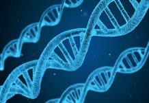 Náklady na centrové léčivé přípravky rostly ČPZP i letos   centrove