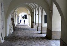 Očkování proti covidu má sněmovna projednat do 4.12. ockovani_proti_covidu