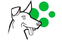 Protiepidemický PES selhal u škol v samém začátku protiepidemicky_PES