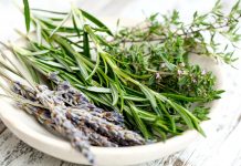 Následky covidu-19 zmírní tymián, břečťan a levandule nasledky_covidu_19