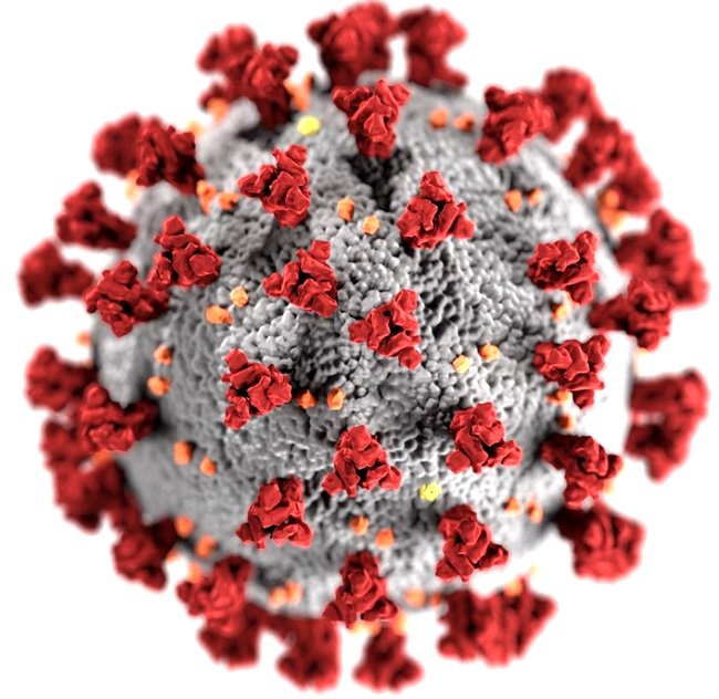 koronavirus