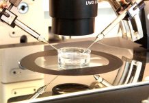 Reprodukční kliniky v ČR tvrdě doplatily na krizi covidu reprodukcni_kliniky