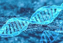 Lék na Huntingtonovu chorobu se otestuje i v Evropě na_huntingtonovu_chorobu