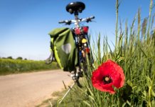 ČSÚ: V Česku předloni sportovala asi třetina populace populace