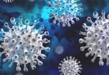 Peníze na sekvenace vzorků získají jen státní laboratoře na_sekvenace