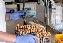 Pneumokokové onemocnění loni prodělalo 247 pacientů pneumokokove_onemocneni