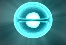 Nový protein může pomoci v protinádorové léčbě protinadorove_lecbe