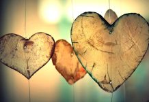 Nejčastější příčinou úmrtí bylo loni onemocnění srdce srdce