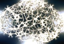 FTN nově shromažďuje vzorky mozkových tkání vzorky_mozkovych_tkani