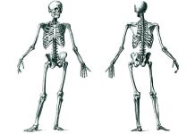 Osteoporóza trápí mnoho lidí. Lze jí však předcházet osteoporoza