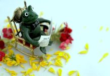 ZdravéZprávy: Přehled článků od 8.11. do 14.11. 2021 Prehled_clanku