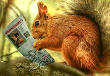 ZdravéZprávy: Přehled článků od 1.11. do 7.11. 2021 Zdravezpravy