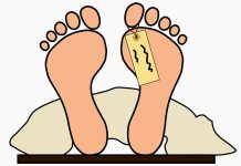 Loňské propady akutní a preventivní péče jsou alarmující preventivni_pece