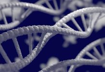 AA amyloidóza vzniká i v důsledku mutace v genu SAA1 AA_amyloidoza