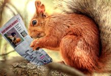 ZdraveZpravy.cz: Články od 06.12. do 12.12. 2021 ZdraveZpravy.cz