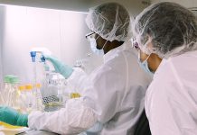 Eli Lilly stáhla žádost o hodnocení dvou protilátek v EU hodnoceni_protilatek