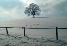 Propad teploty zvyšuje riziko srdečního infarktu až o 7 % infarktu