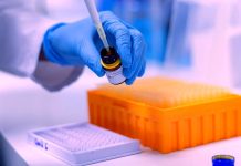 Zmutovaný koronavirus odlišuje jiný spike protein zmutovany_koronavirus