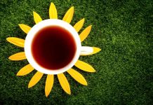 ZdraveZpravy.cz: Články od 20.12. do 26.12. 2021 zdravezpravy.cz